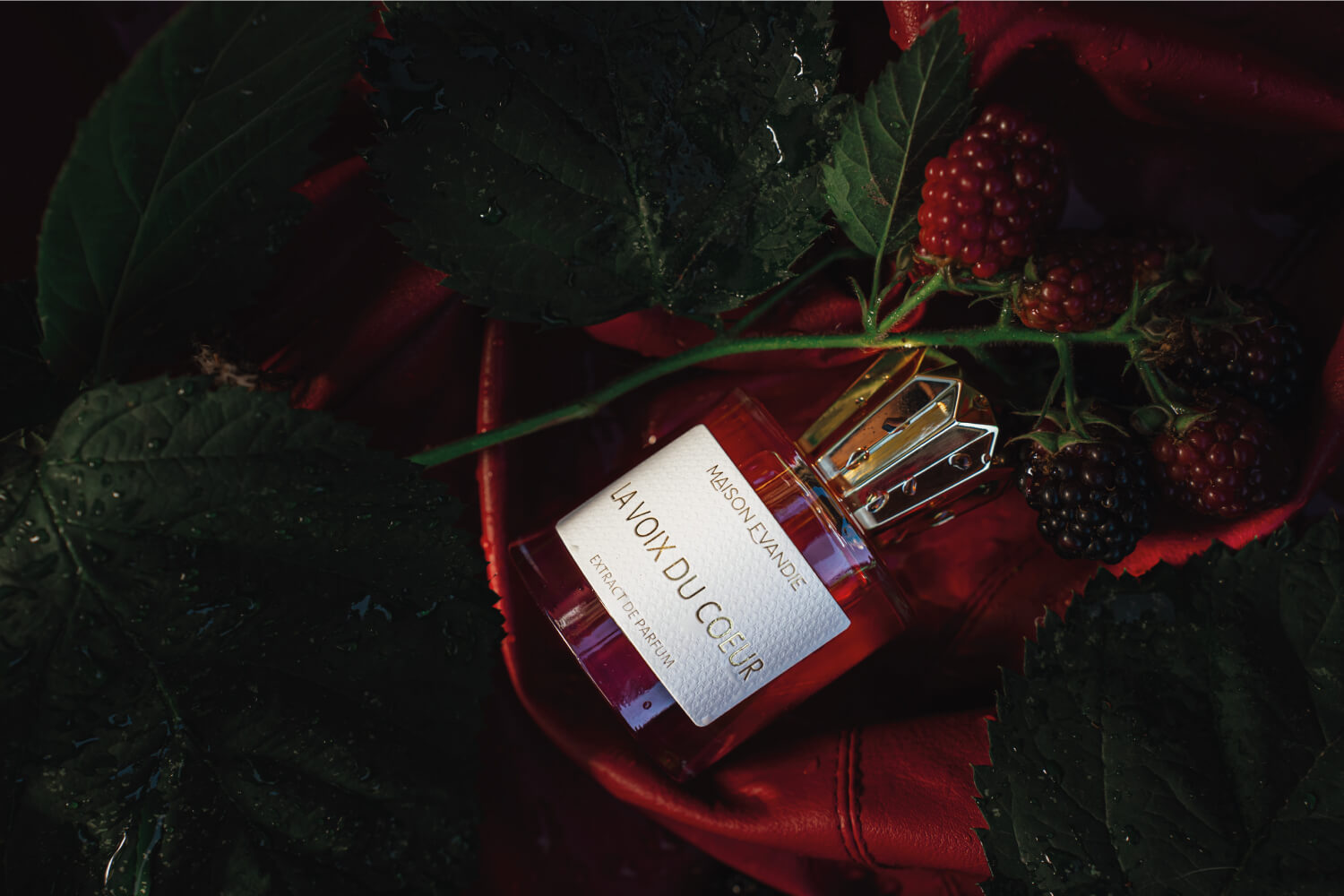 La Voix Du Coeur - extract de parfum